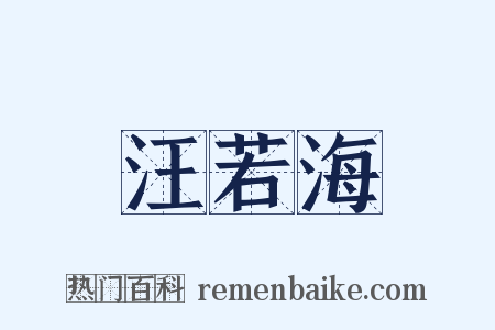 汪若海是什么意思的图片
